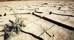 آینده تشنه خواهد ماند