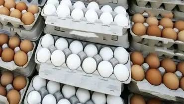 قیمت تخم‌مرغ به صورت روزانه در نوسان است