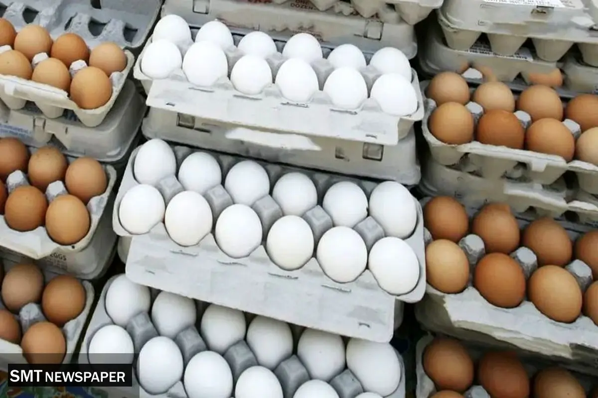 قیمت تخم‌مرغ به صورت روزانه در نوسان است