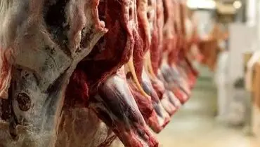 تکذیب ورود گوشت آلوده از مغولستان به ایران