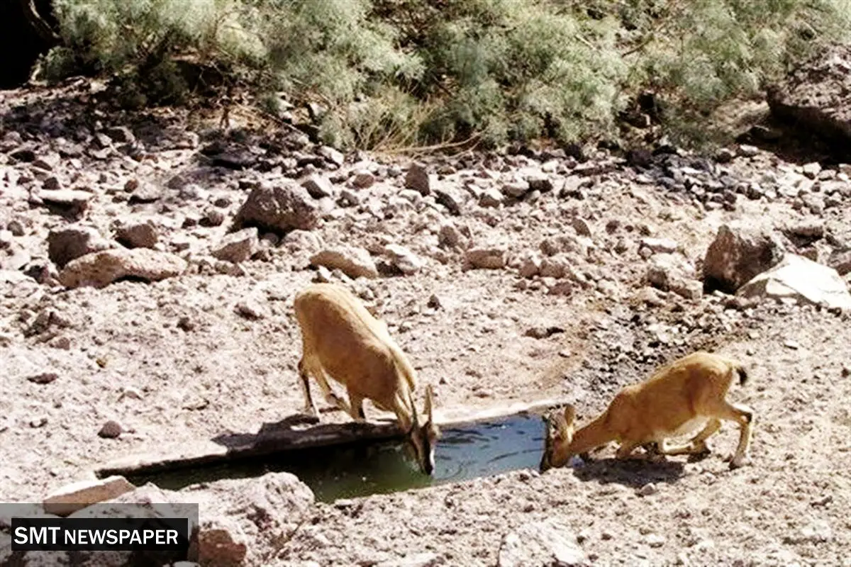 فروپاشی زنجیره حیات در فلات مرکزی ایران