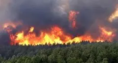 ۸۰ درصد آتش‌سوزی جنگل های هیرکانی مهار شد