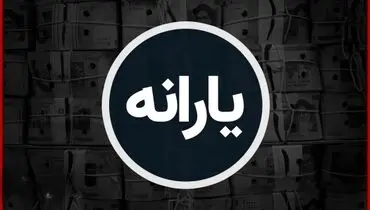 یارانه جدید دولت؛ ۷۰۰ هزار تومان برای هر نفر از دی‌ماه