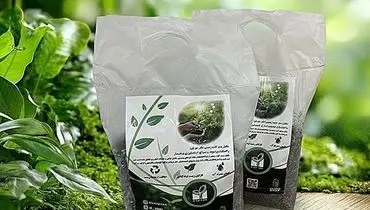 بهترین کود برای رشد گیاهان در 2026 معرفی شد | نتیجه‌ای که کشاورزان را شوکه کرد