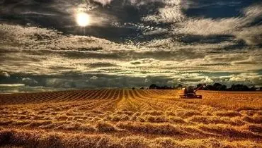 مسئولان خود را قیم کشاورزان می‌دانند