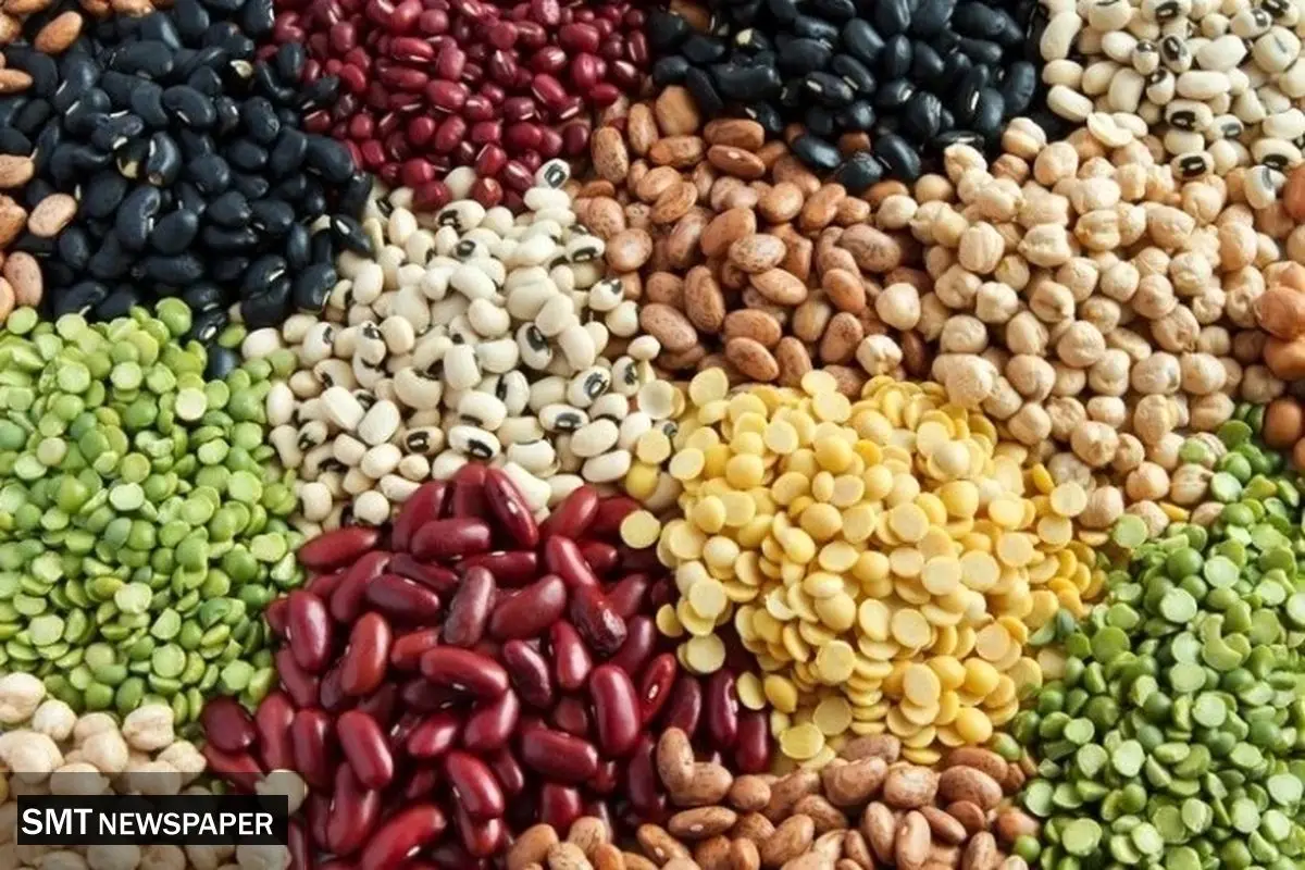 قیمت روز انواع حبوبات در بازار؛ سه‌شنبه ۲۷ آبان ۱۴۰۴