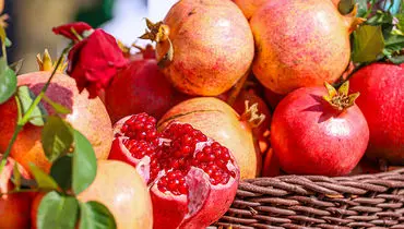 اعلام نرخ جدید میوه های شب یلدا