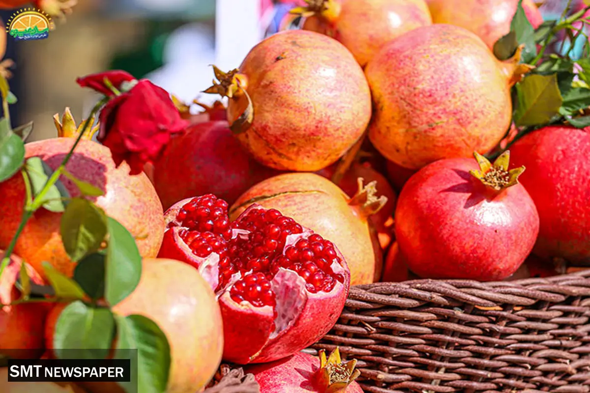 اعلام نرخ جدید میوه های شب یلدا