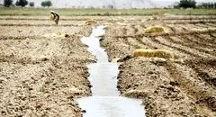 یکپارچه‌سازی اراضی، تولید را چند برابر می‌کند