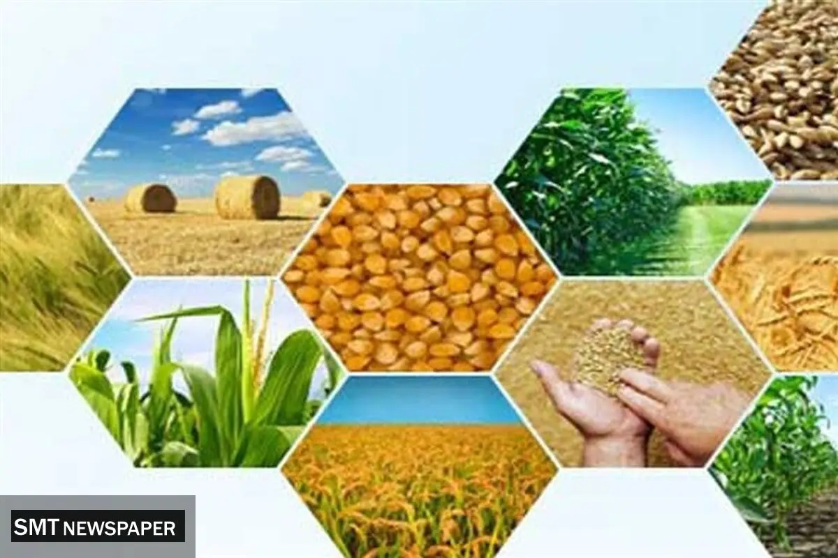 آمارهای بخش کشاورزی به‌روز نیست