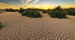 فرونشست و کم‌آبی، تهدیدی برای کشاورزی