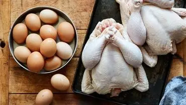 قیمت روز انواع مرغ و تخم‌مرغ در بازار؛ سه‌شنبه ۲۷ آبان ۱۴۰۴