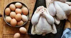 قیمت روز انواع مرغ و تخم‌مرغ در بازار؛ سه‌شنبه ۲۷ آبان ۱۴۰۴