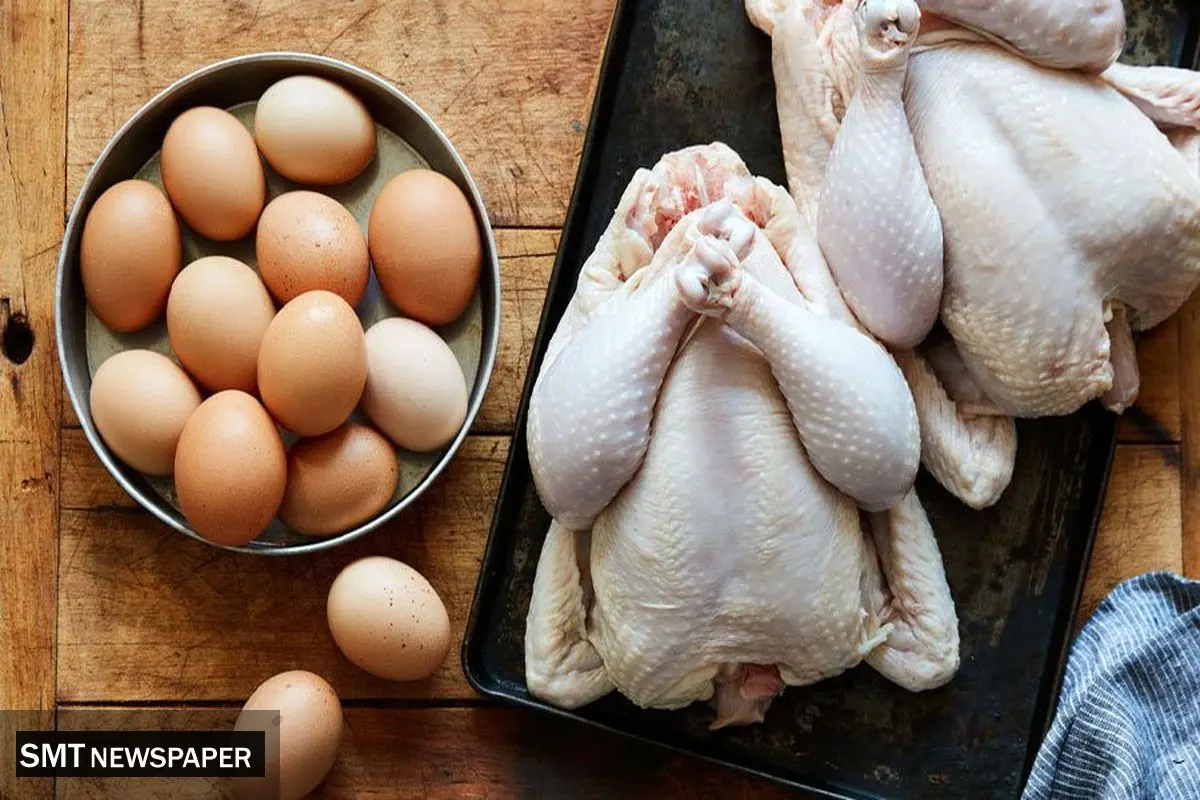 قیمت روز انواع مرغ و تخم‌مرغ در بازار؛ سه‌شنبه ۲۷ آبان ۱۴۰۴