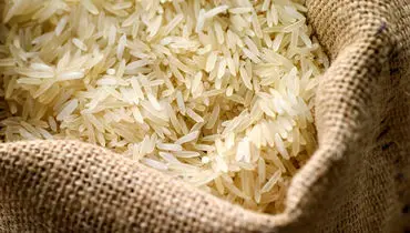 بازار برنج زیر پای دلالان | برنج پاکستانی چند؟