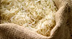 بازار برنج زیر پای دلالان | برنج پاکستانی چند؟