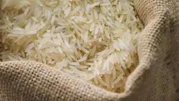 بازار برنج زیر پای دلالان | برنج پاکستانی چند؟