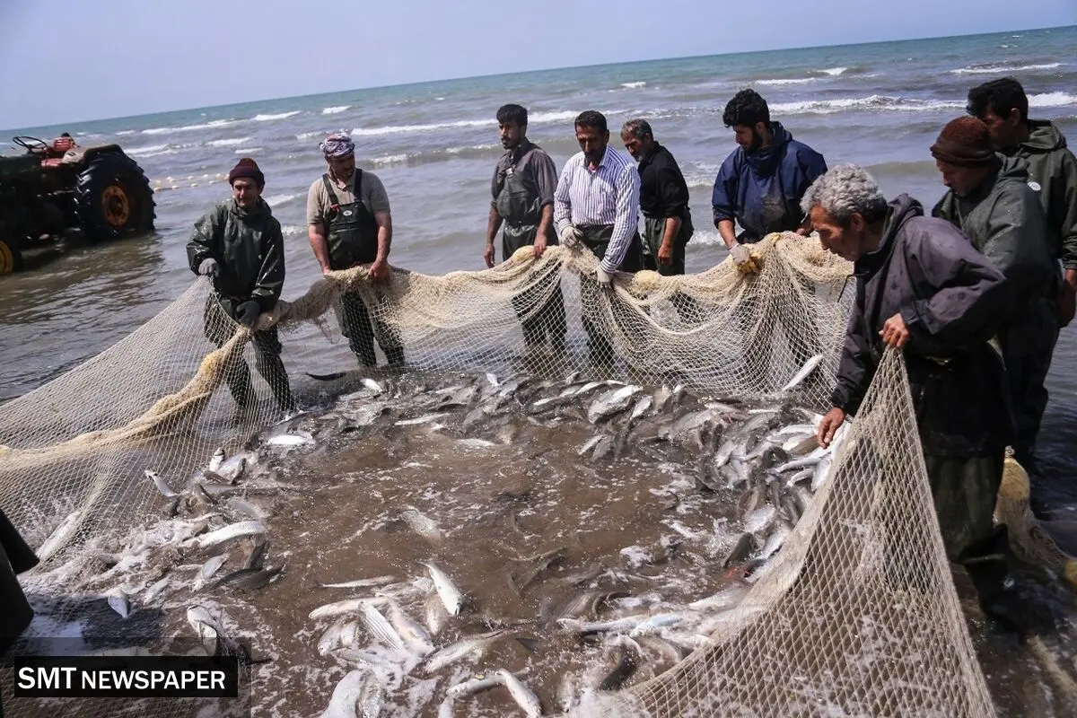 لیست قیمت انواع ماهی ۱۸ بهمن ۱۴۰۴ 