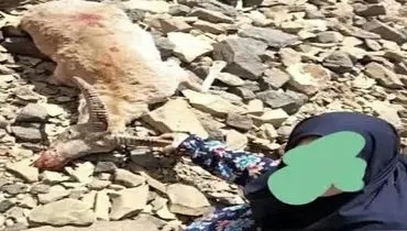 زن مسلح در تفرش دستگیر شد