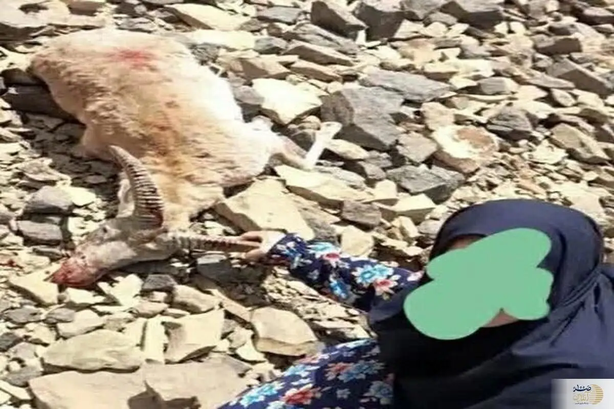 زن مسلح در تفرش دستگیر شد