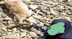 زن مسلح در تفرش دستگیر شد