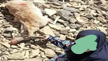 زن مسلح در تفرش دستگیر شد