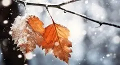 سیلاب و برف در راه؛ ۱۷ استان درگیر سامانه بارشی جدید