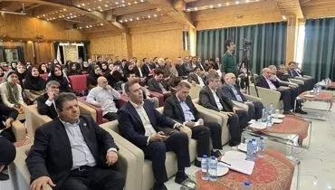 حذف شرط پرتفوی مثبت برای تمدید پروانه شبکه نمایندگان بیمه ایران