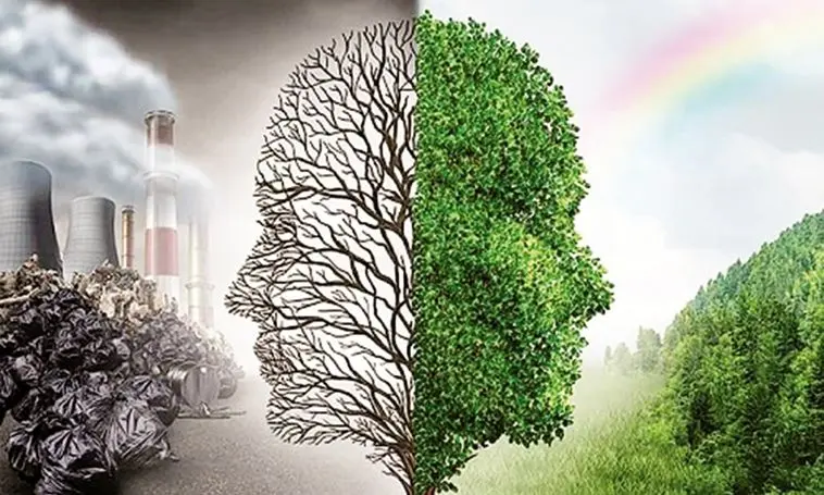 طبیعت در تله اقتصاد