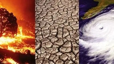 حیوانات چرخه کربن را رهبری می‌کنند