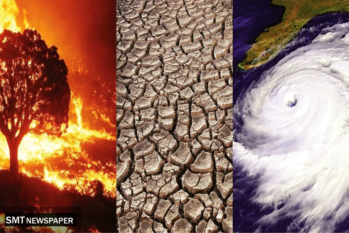 حیوانات چرخه کربن را رهبری می‌کنند