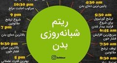 ریتم شبانه روزی بدن+اینفوگرافی