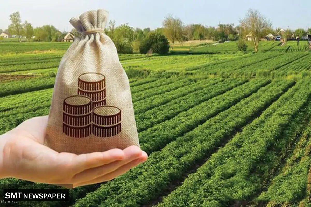 وزنه سنگین مالیات بر دوش تولیدکنندگان