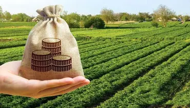 وزنه سنگین مالیات بر دوش تولیدکنندگان