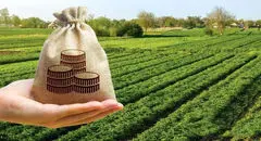 وزنه سنگین مالیات بر دوش تولیدکنندگان