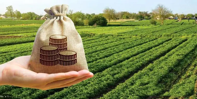 وزنه سنگین مالیات بر دوش تولیدکنندگان