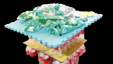 زیبایی را به خاطر بسپاریم...