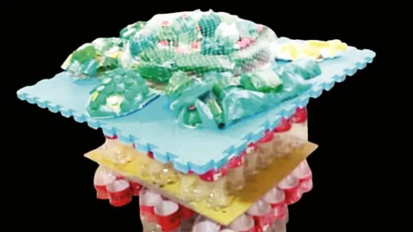 زیبایی را به خاطر بسپاریم...