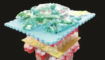 زیبایی را به خاطر بسپاریم...