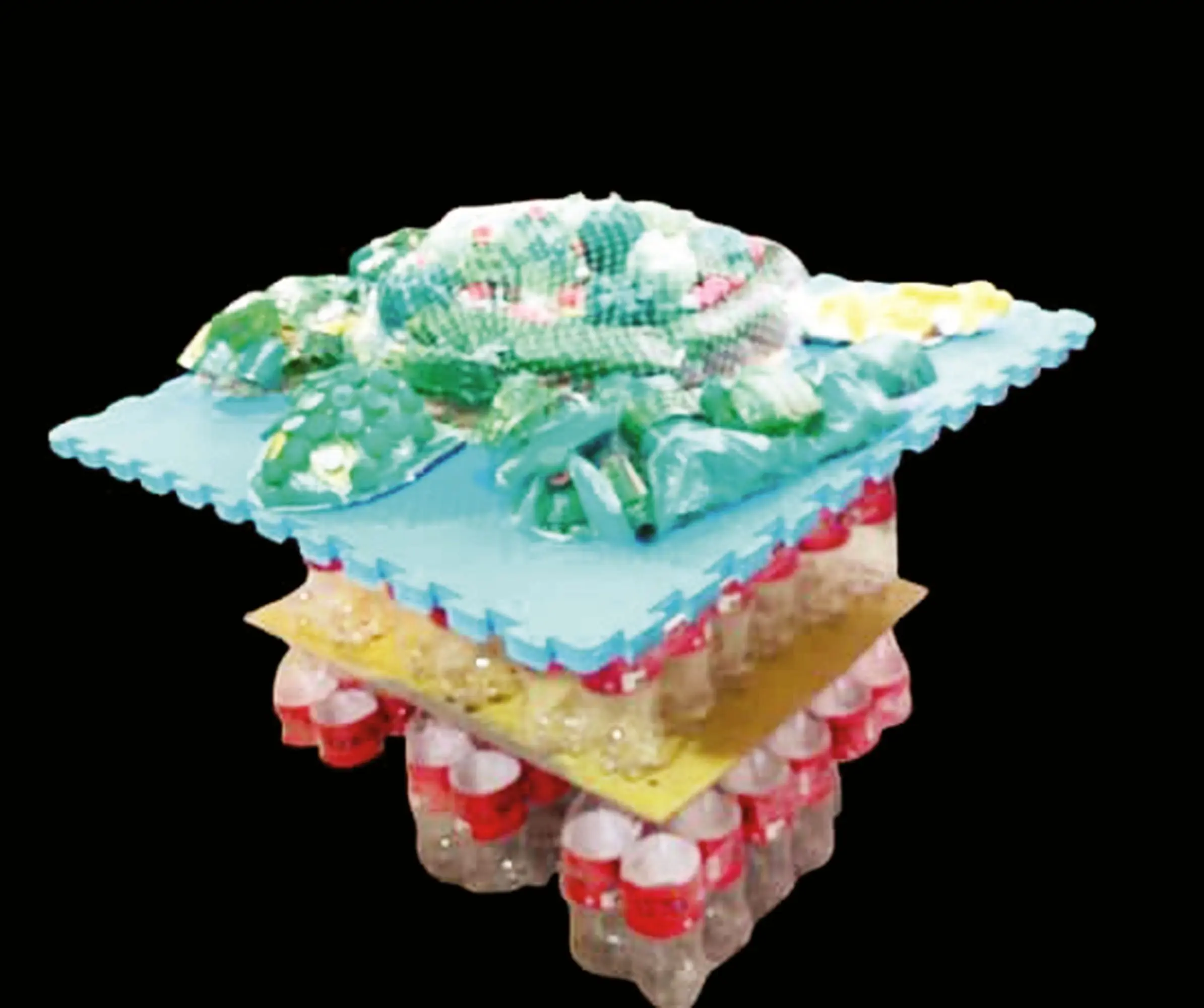 زیبایی را به خاطر بسپاریم...