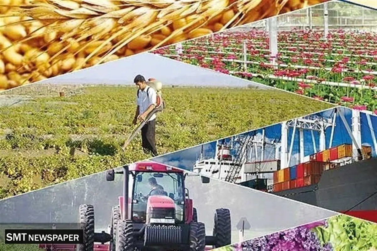 مشکلات صنایع تکمیلی کشاورزی