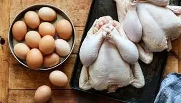قیمت مرغ و تخم مرغ امروز یکشنبه ۲۲ تیر ۱۴۰۴