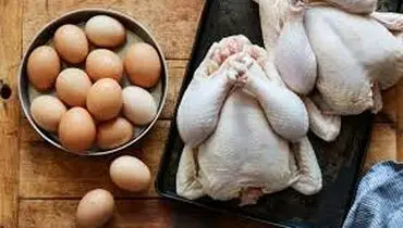 قیمت مرغ و تخم مرغ امروز یکشنبه ۲۲ تیر ۱۴۰۴