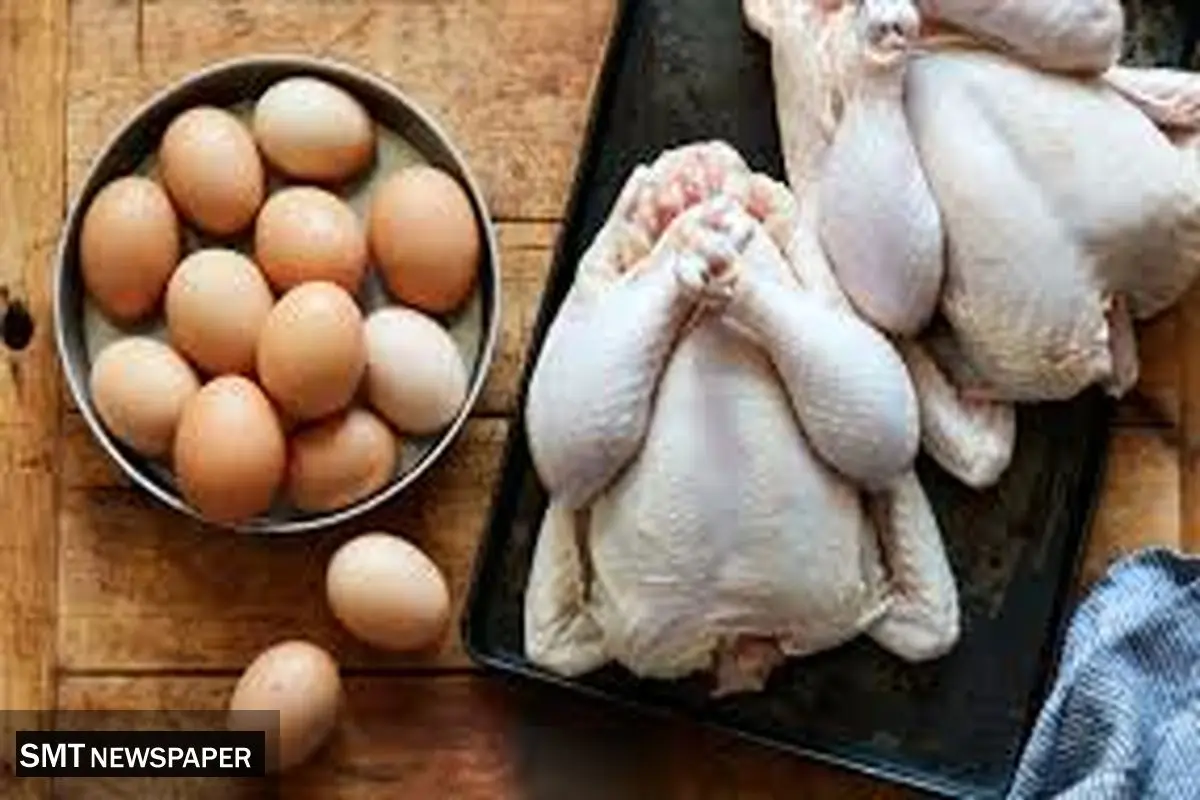 قیمت مرغ و تخم مرغ امروز یکشنبه ۲۲ تیر ۱۴۰۴