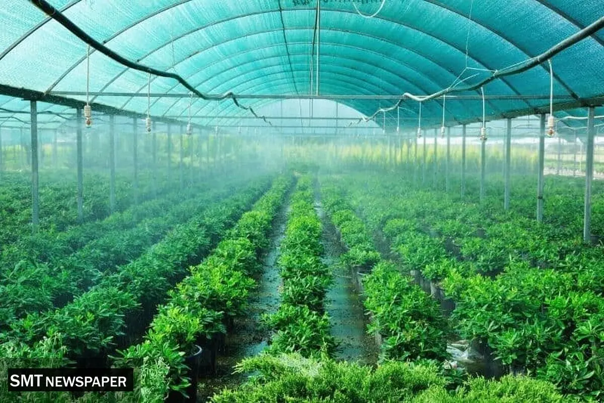  توسعه کشت گلخانه‌ای با آب دریا 