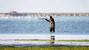 بازار پرندگان مهاجر؛ ضیافتی خونین که به زیرزمین رفت