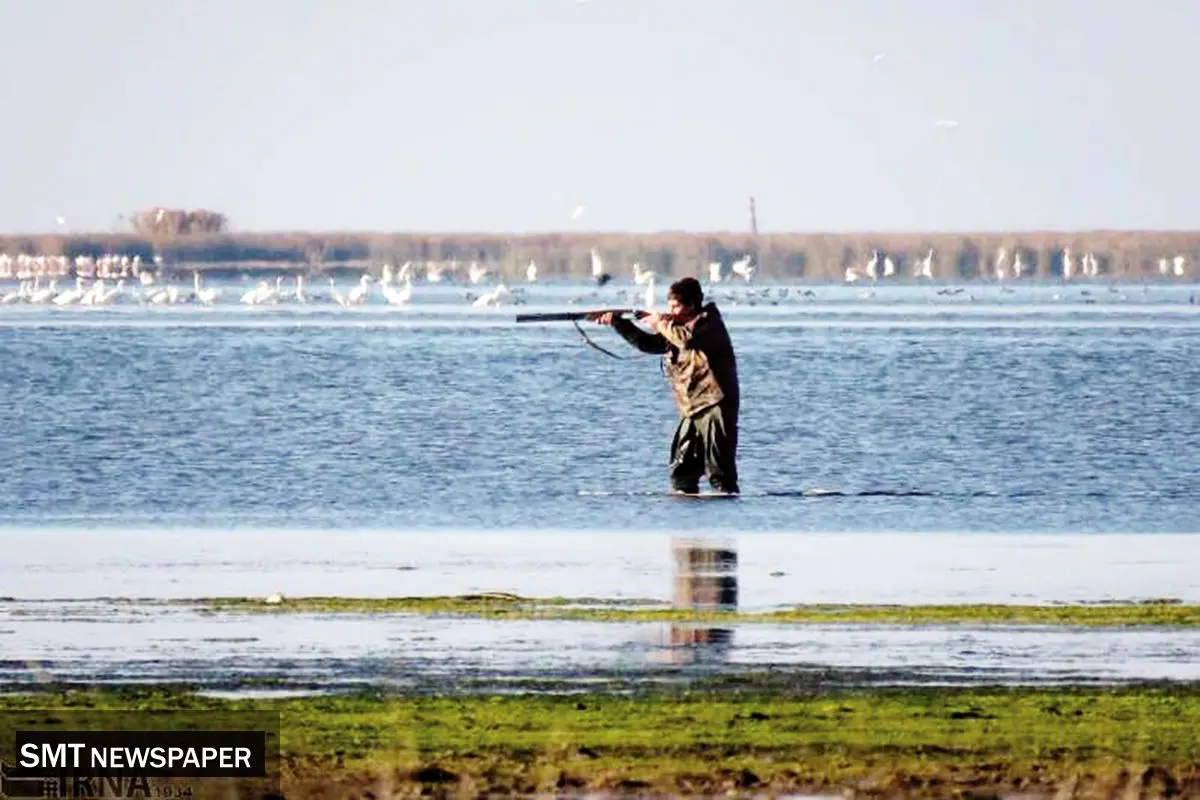 بازار پرندگان مهاجر؛ ضیافتی که به زیرزمین رفت