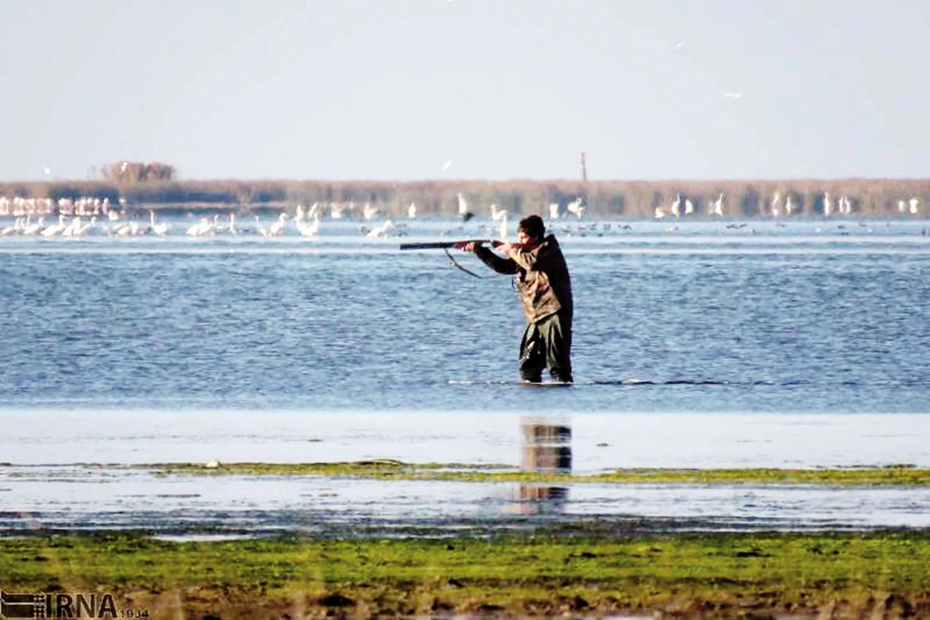 بازار پرندگان مهاجر؛ ضیافتی که به زیرزمین رفت