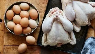 لیست قیمت مرغ و تخم‌مرغ امروز دوشنبه ۱۷ آذر ۱۴۰۴ 