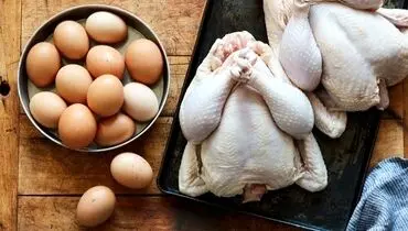 لیست قیمت انواع مرغ ۱۴ بهمن ۱۴۰۴ 